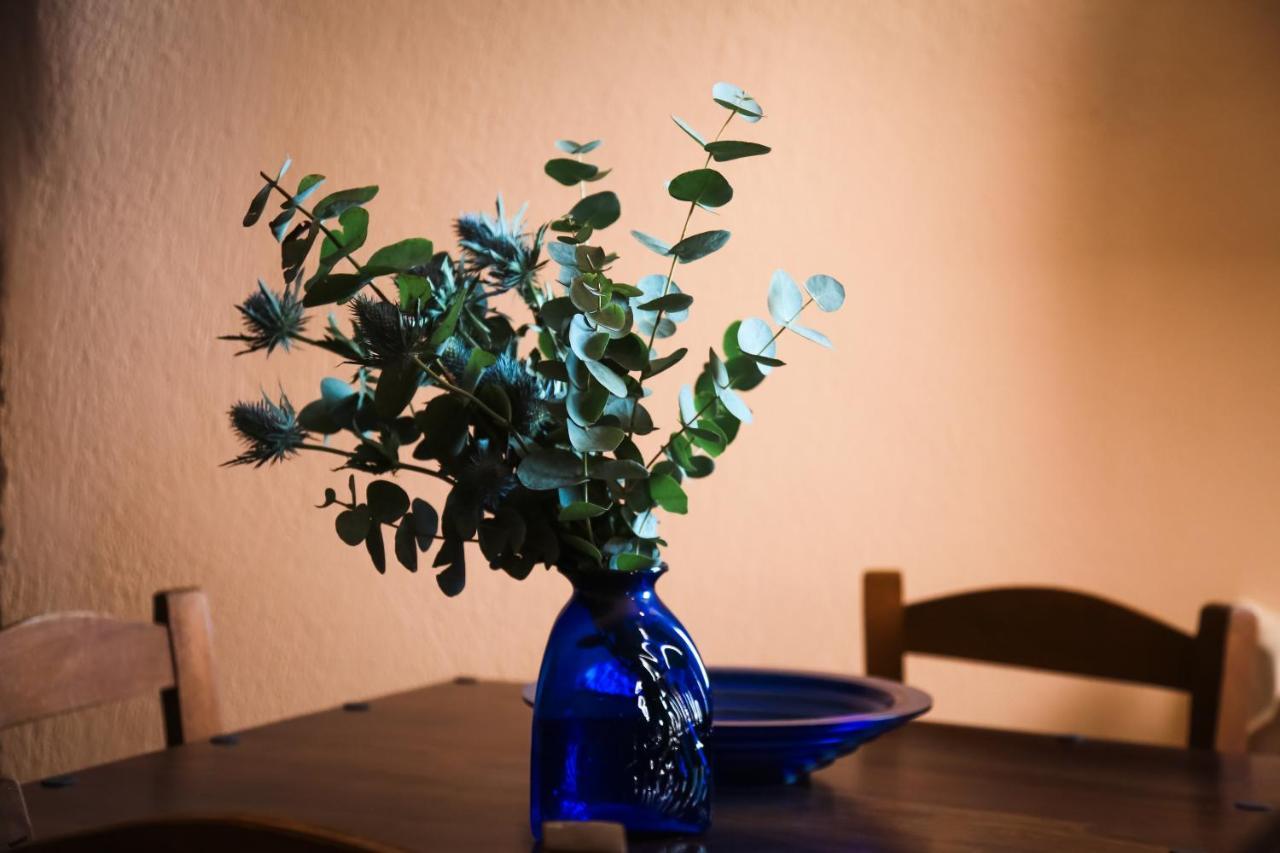 Vineyart Homes 度假居 Oía